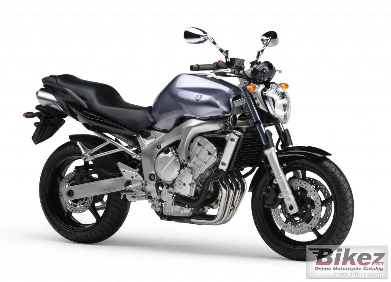 Big Yamaha fz6 picture and wallpaper from Bikez.com